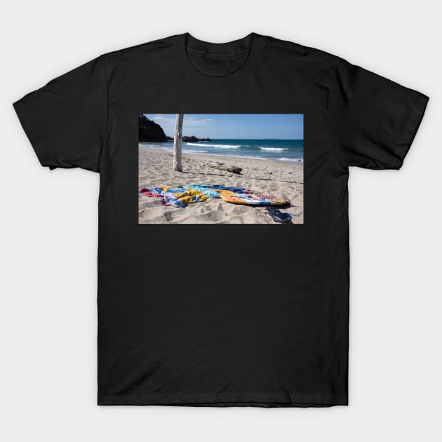 gone swimming T-Shirt by sma1050